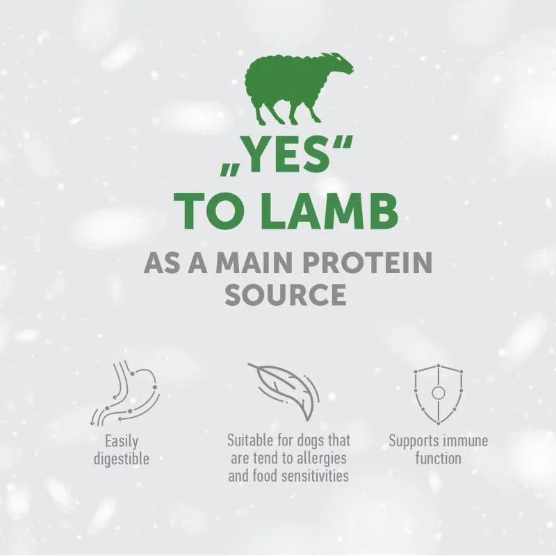 Nature's Protection Superior Care complementary grain free feed - snacks to support healthy endurance with lamb for adult dogs