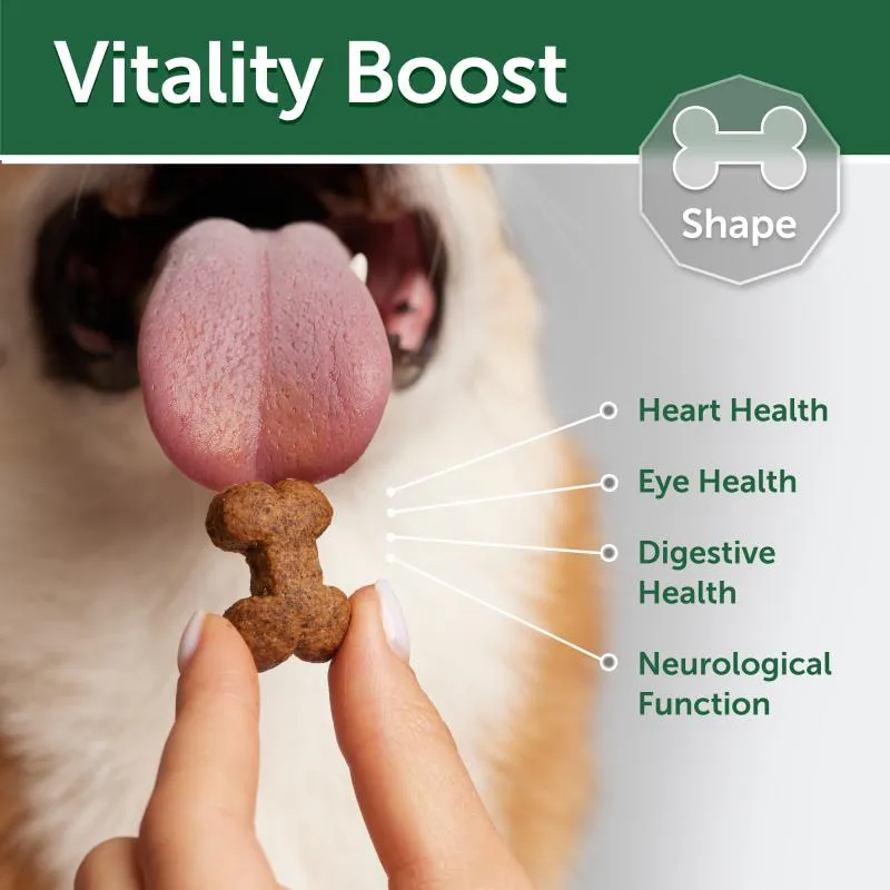 Nature's Protection Superior Care complementary grain free feed - snacks to support healthy endurance with lamb for adult dogs