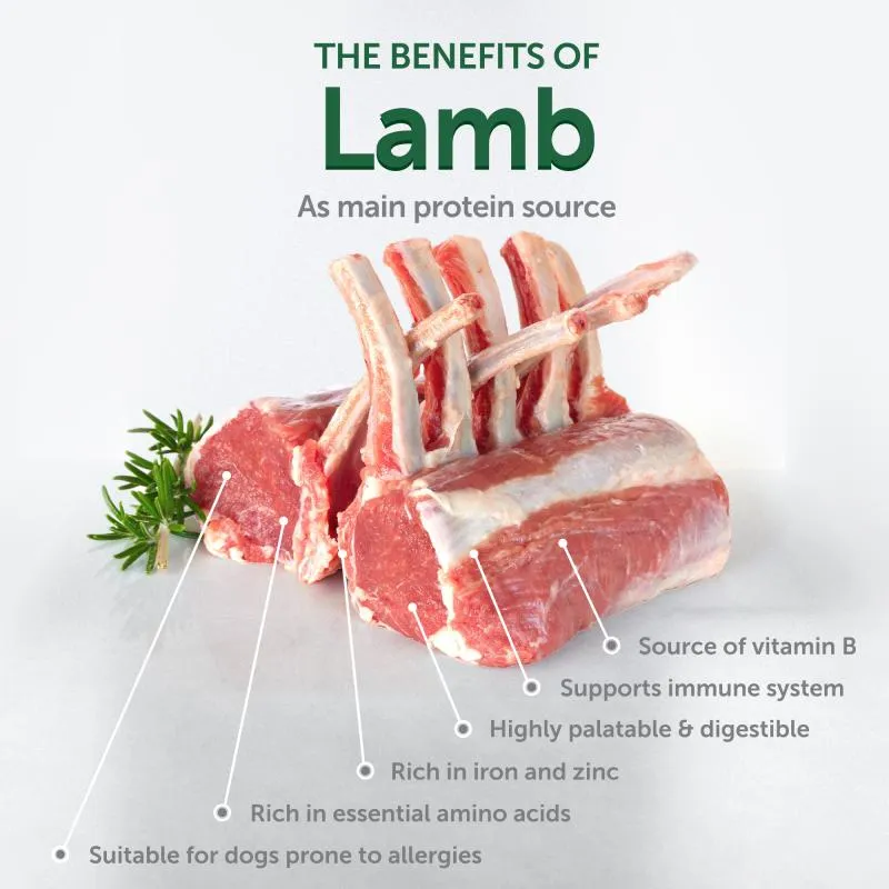 Nature's Protection Superior Care complementary grain free feed - snacks to support healthy endurance with lamb for adult dogs