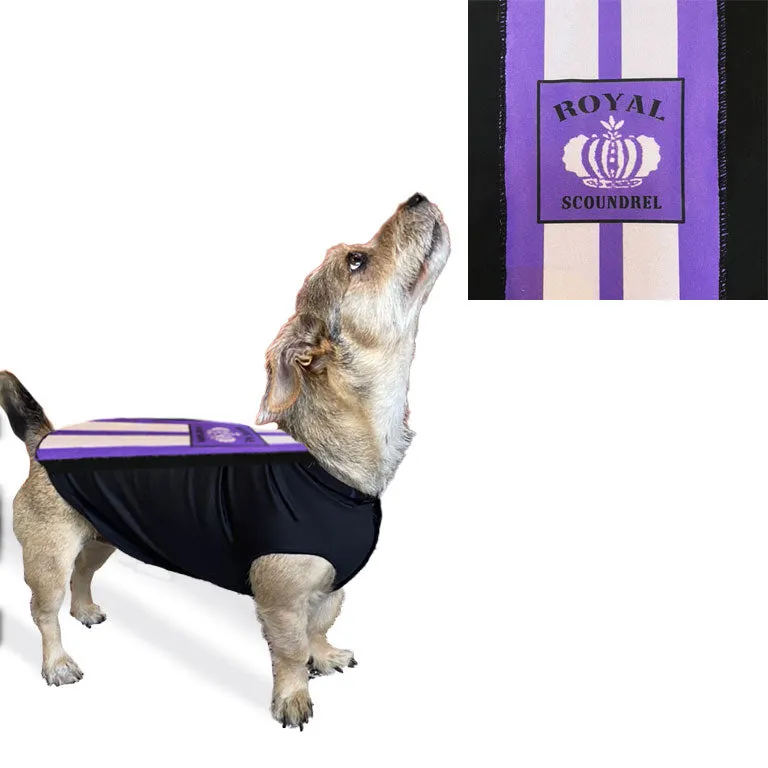 Sport Fleece Pullover